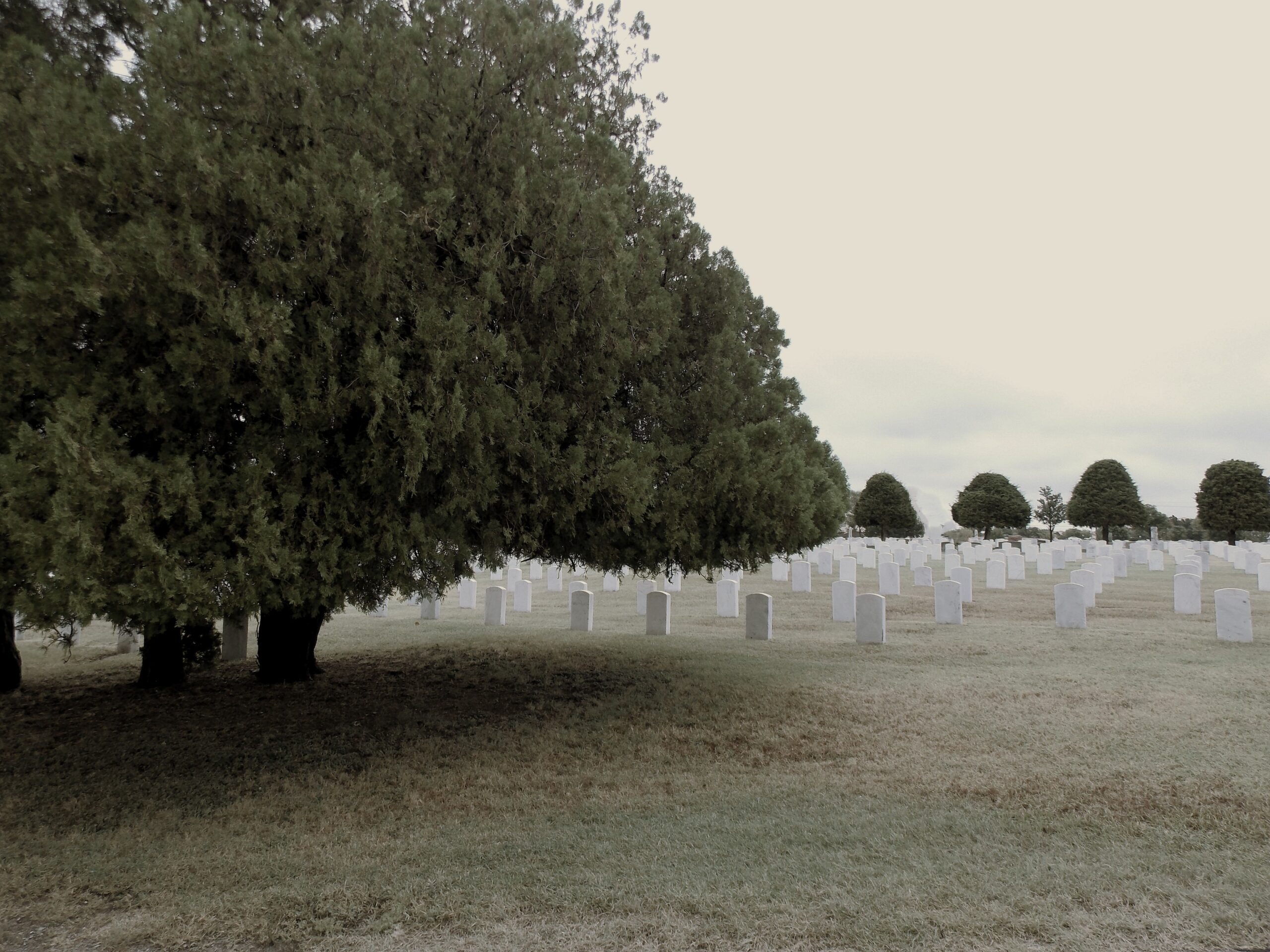 comptonj cemetery comptonj cemetery
